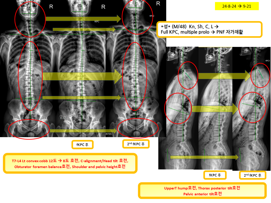 ede1a9af405b844cd29c9b7194239958_1727093914_7496.png