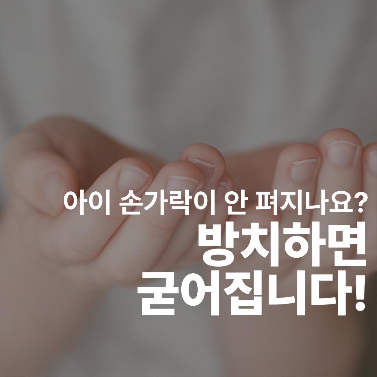 0650995b975af5a40327acd4ec226ff8_1776731578_7154.png 0650995b975af5a40327acd4ec226ff8_1776731578_7154.png