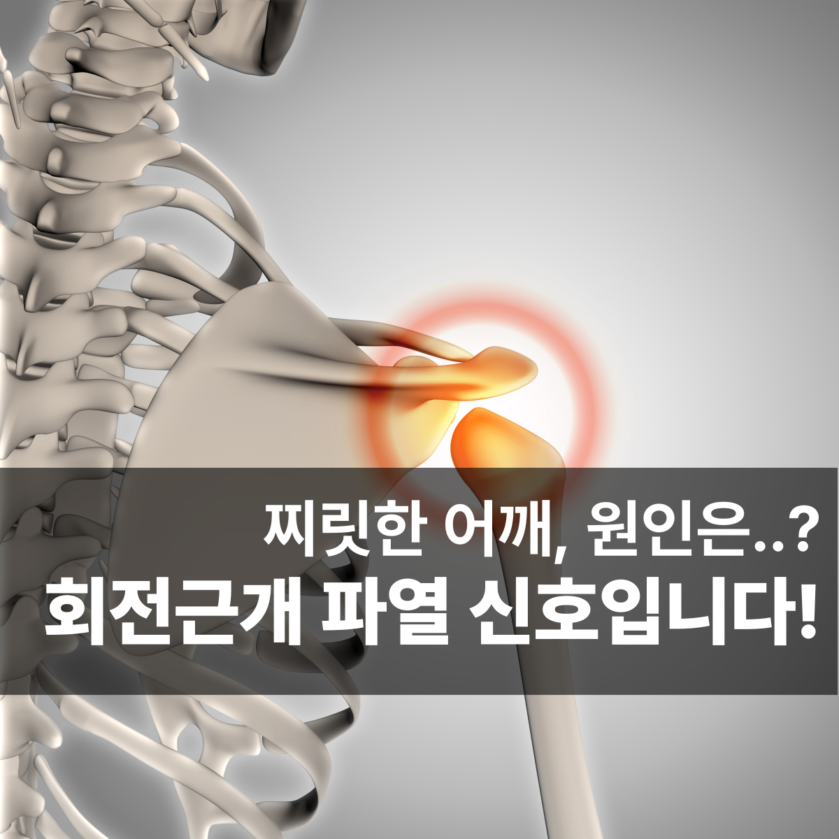 b226745e3a415ce62df8539c53186762_1778214810_3051.png