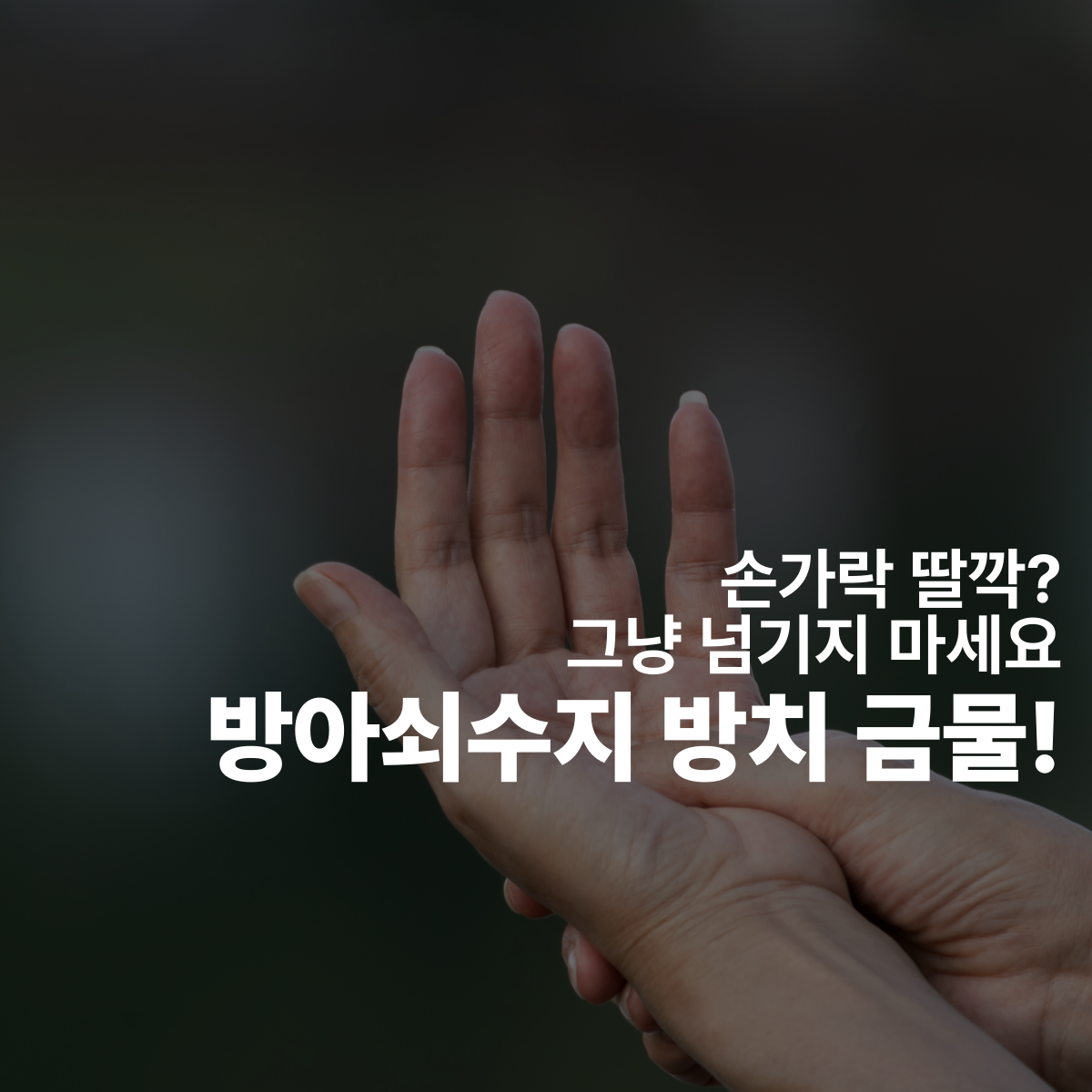c477cc3fc38bd877565ed3e8b54990b2_1779934570_7343.png c477cc3fc38bd877565ed3e8b54990b2_1779934570_7343.png