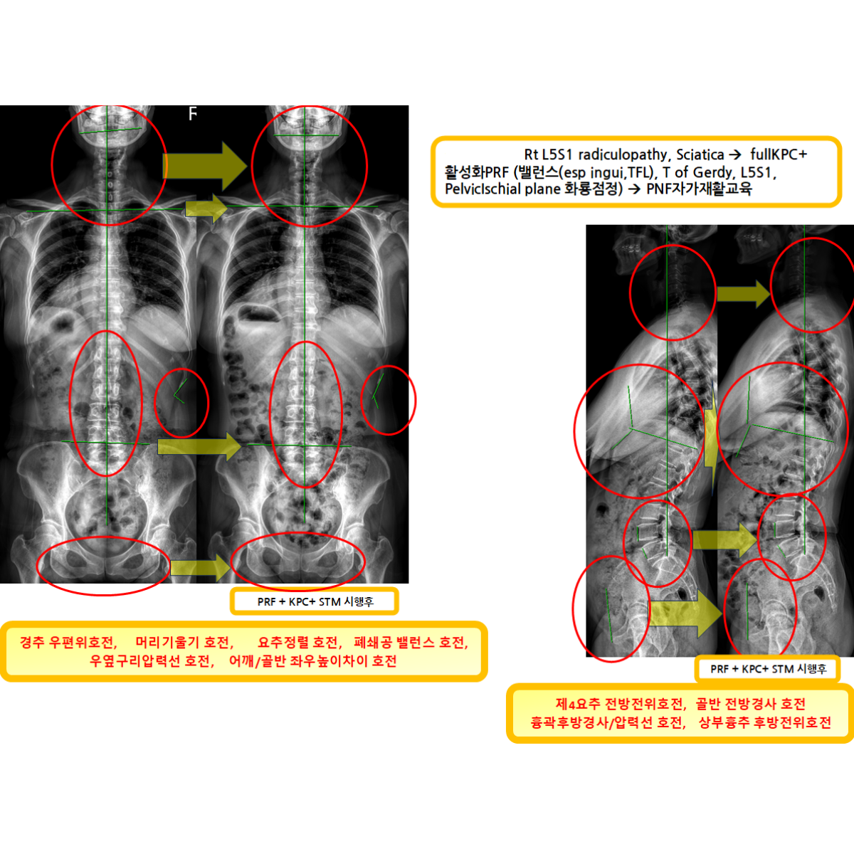 83b20286350cc493ab371717569b51fe_1785223937_9667.png