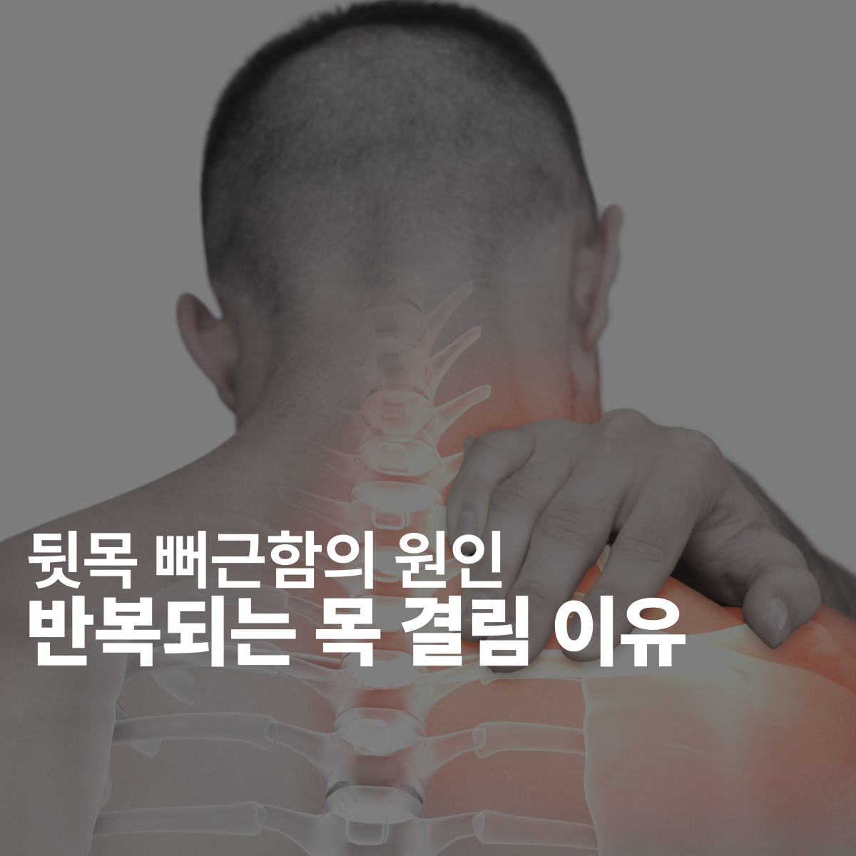 c76b23b2bd1aa17a0293b6433bf6f9b0_1779755192_9829.png c76b23b2bd1aa17a0293b6433bf6f9b0_1779755192_9829.png