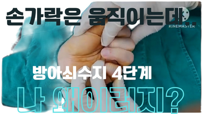 ce7da6a5fcc774447268d8a9741960a8_1723971769_131.jpg